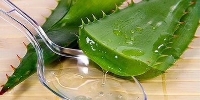 zume de aloe para o tratamento de varices nas pernas